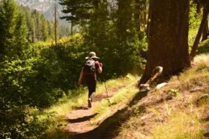 Woman hiking down forest trail